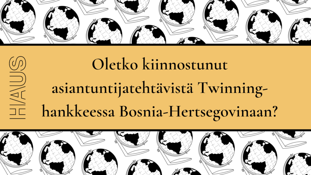 Tarjousvalmistelu: Lyhytaikaisia asiantuntijoita (eri rooleja)