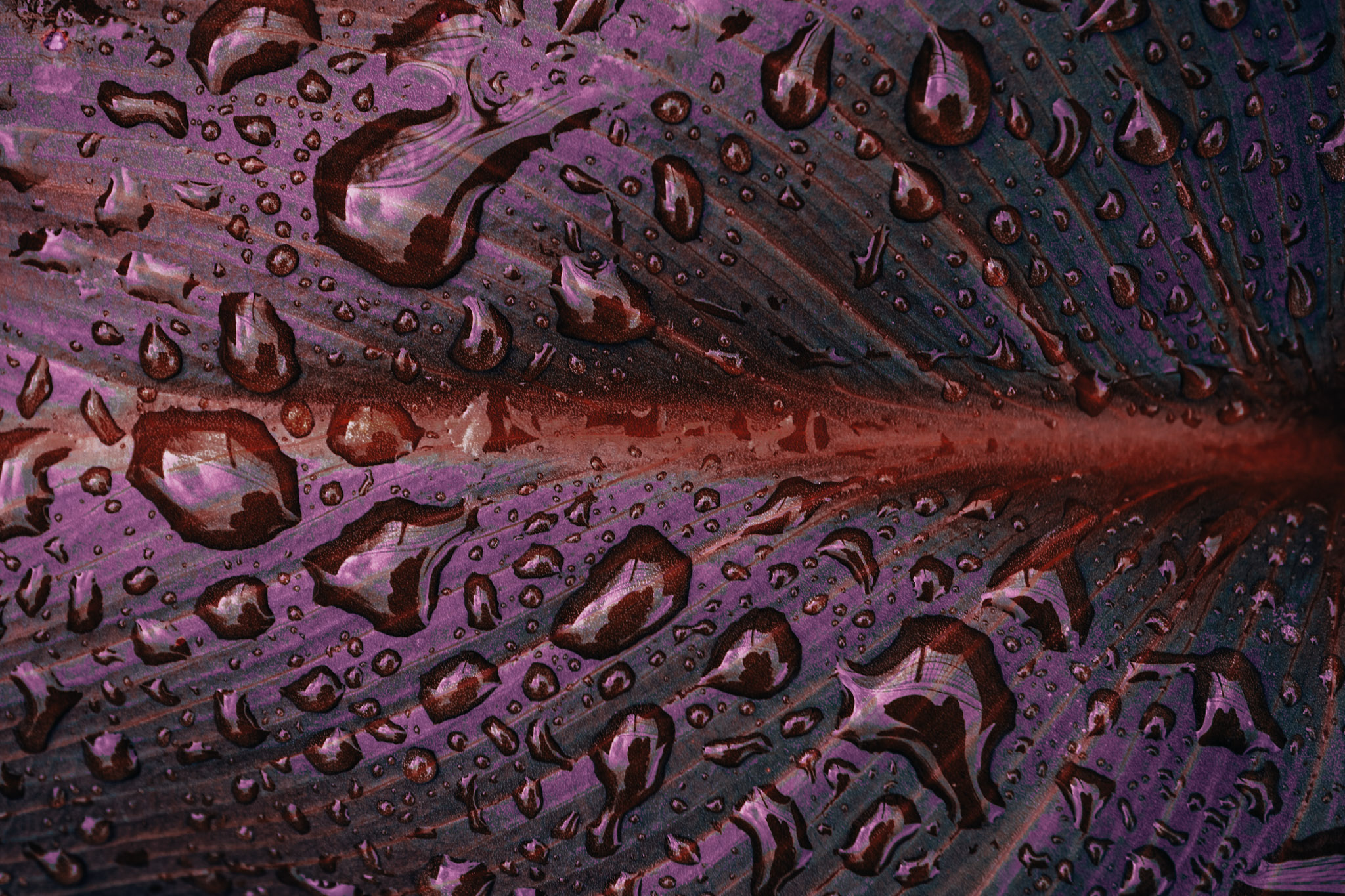 full frame shot of metal